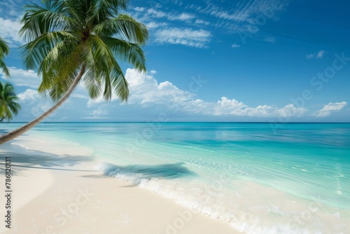 beach with palm trees, landscape