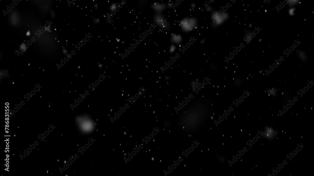 falling flakes no background loop 4k