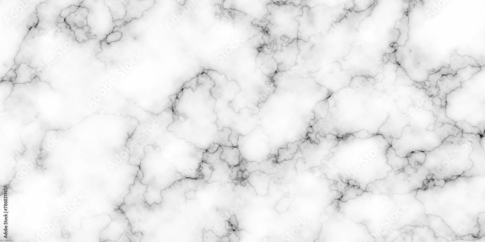 White Marble texture wall and floor paint luxury, grunge background. White and black beige natural vintage isolated marble texture background vector. cracked Marble texture frame background.
White Marble texture wall and floor paint luxury, grunge background. White and black beige natural vintage isolated marble texture background vector. cracked Marble texture frame background.