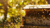 Honey bees swarming around their beehive