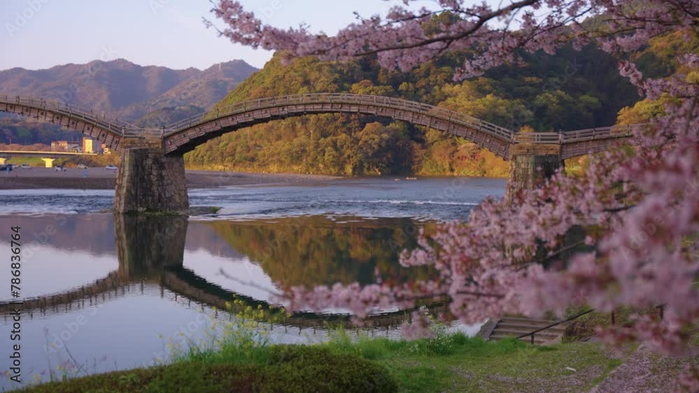 Sunrise in Japan, Spring Sakura and Kintaikyo Bridge Reflecting in River Sunrise in Japan, Spring Sakura and Kintaikyo Bridge Reflecting in River