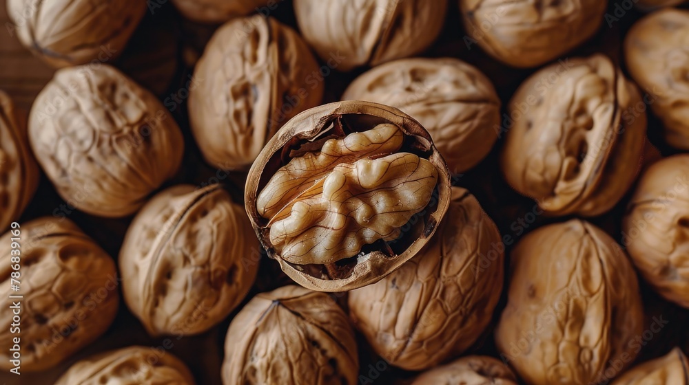 Walnuts with Broken Shells and Intact Kernels Surrounded by Whole Walnuts Walnuts with Broken Shells and Intact Kernels Surrounded by Whole Walnuts