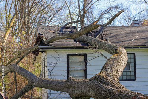 Tree trunk and branches crash through the roof of a house in the aftermath of a severe storm