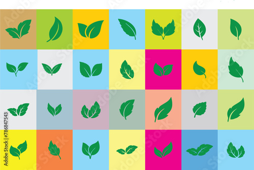 Collection of green leaf icons. Leaves of Different trees and plants. Elements design for natural, eco, bio, vegan labels, banner and poster. Editable vector, eps 10 format. 