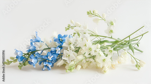 bouquet of snowdrops. Bouquet of white and blue bells on a white background.