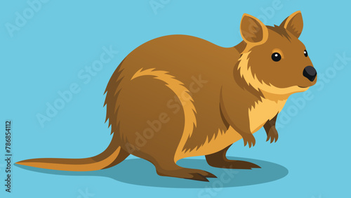 Funny cute Quokka, Setonix brachyurus as Short-tailed Scrub Wallaby with Rounded Ears Standing on Hind Legs and Smiling Vector Illustration