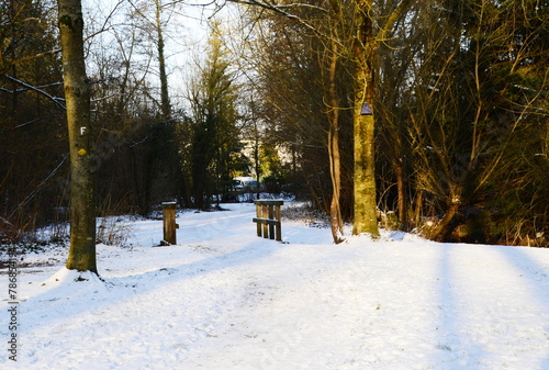 Park in Winter at the River Fulde in the Town Walsrode, Lower Saxony photo