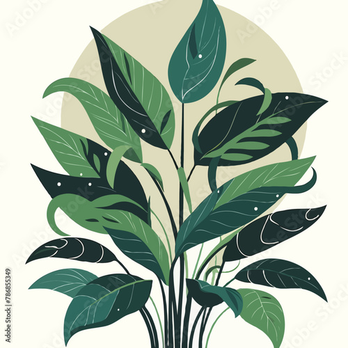 Indoor plant interior design decor money plant cactus in a tub white background green eco friendly studio design vector