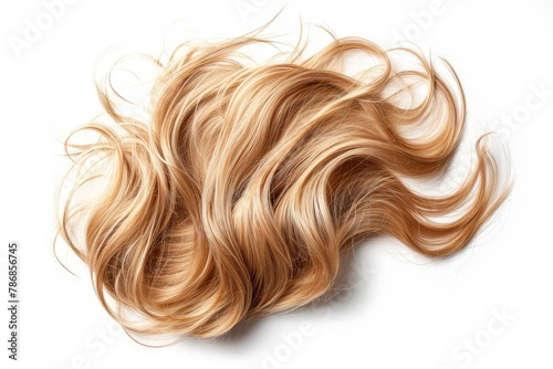 Curly blonde hair isolated on white background. Beautiful healthy long blond hair lock, haircut, hairstyle. Dyed hair or coloring, hair extension, cure, treatment concept 