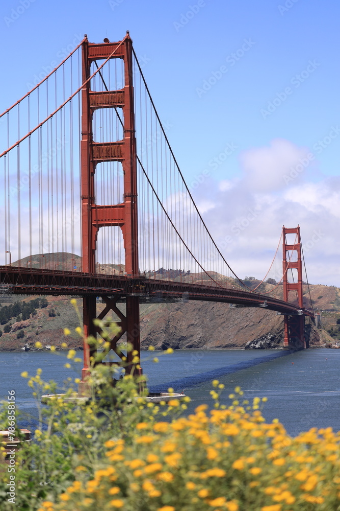 Fototapeta premium golden gate bridge san francisco, usa
