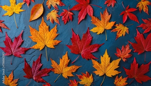 Autumn background with colored red leaves on blue slate background.