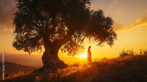 Jesus standing beneath an ancient olive tree praying