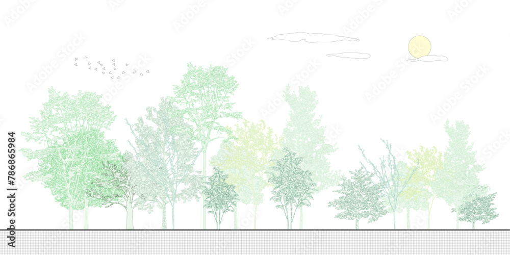 Architectural Drawings, Minimal style cad tree line drawing, Side view, set of graphics trees elements outline symbol for landscape design drawing. Vector illustration in stroke fill in white. - obrazy, fototapety, plakaty 