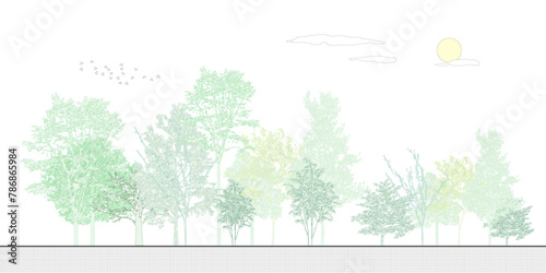 Architectural Drawings, Minimal style cad tree line drawing, Side view, set of graphics trees elements outline symbol for landscape design drawing. Vector illustration in stroke fill in white. photo
