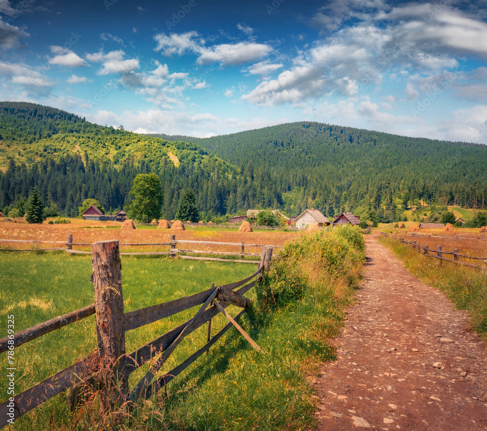 Spectacular summer scene of Lazeshchyn village with old dirt road, Ukraine, Europe. Picturesque green view of Carpathians. Nice morning scene of contryside. Beauty of countryside concept background.. Spectacular summer scene of Lazeshchyn village with old dirt road, Ukraine, Europe. Picturesque green view of Carpathians. Nice morning scene of contryside. Beauty of countryside concept background..