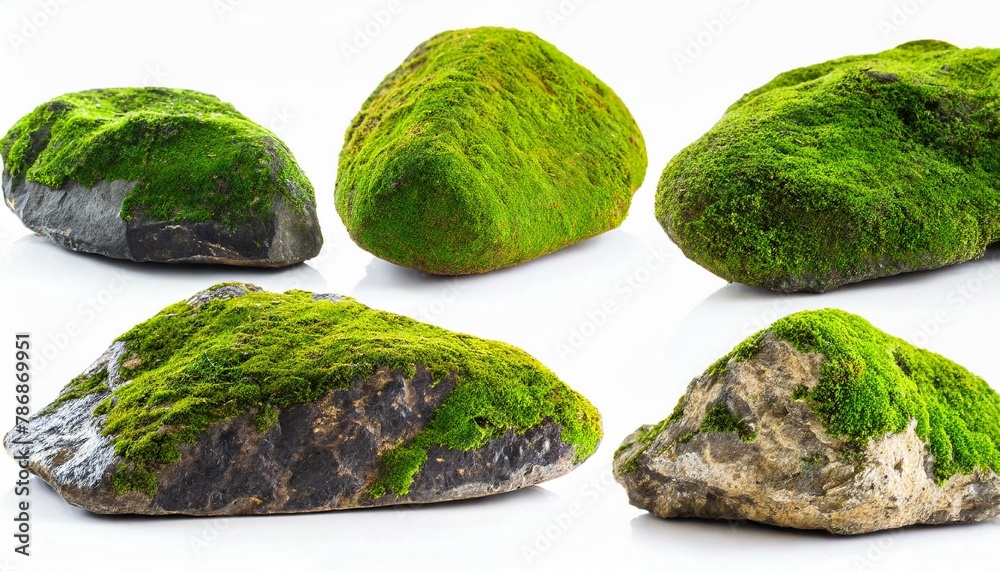 Set of moss-covered rocks cut out White background. Set of moss-covered rocks cut out White background.
