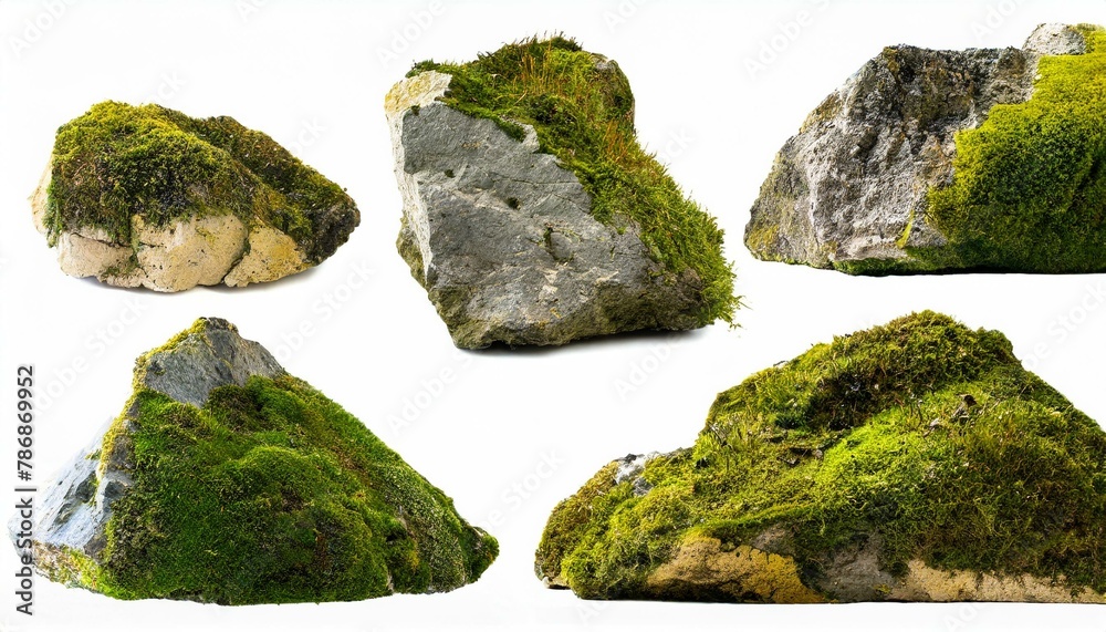 Set of moss-covered rocks cut out White background. Set of moss-covered rocks cut out White background.