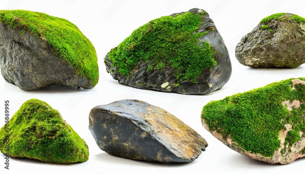 Set of moss-covered rocks cut out White background. Set of moss-covered rocks cut out White background.