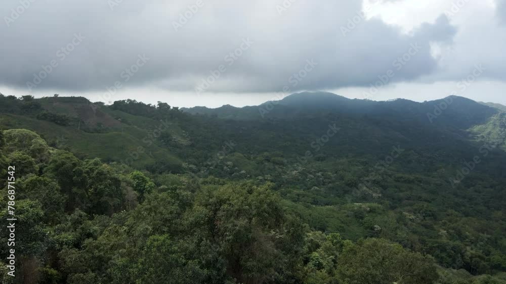 Drone passes by the Colombian flag to pan over the forested canopy with the Sierra Nevada in the background
