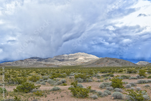 Desert Storm Clouds over the Nevada Desert along the Bob Rudd Memorial Highway.