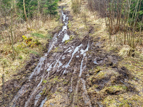 Bicycle track in the mud on a path in the forest