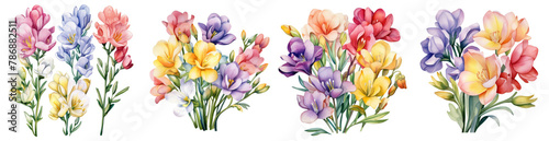 Watercolor freesia clipart with fragrant blooms in vario