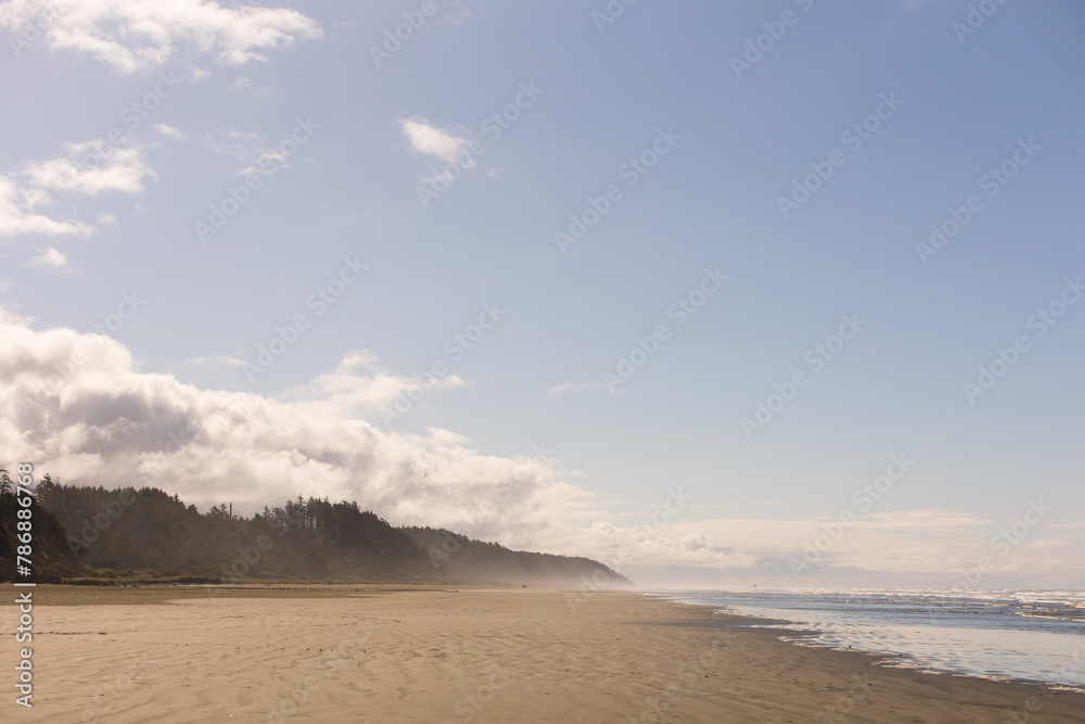 Ocean beach with coast forest and blue sky