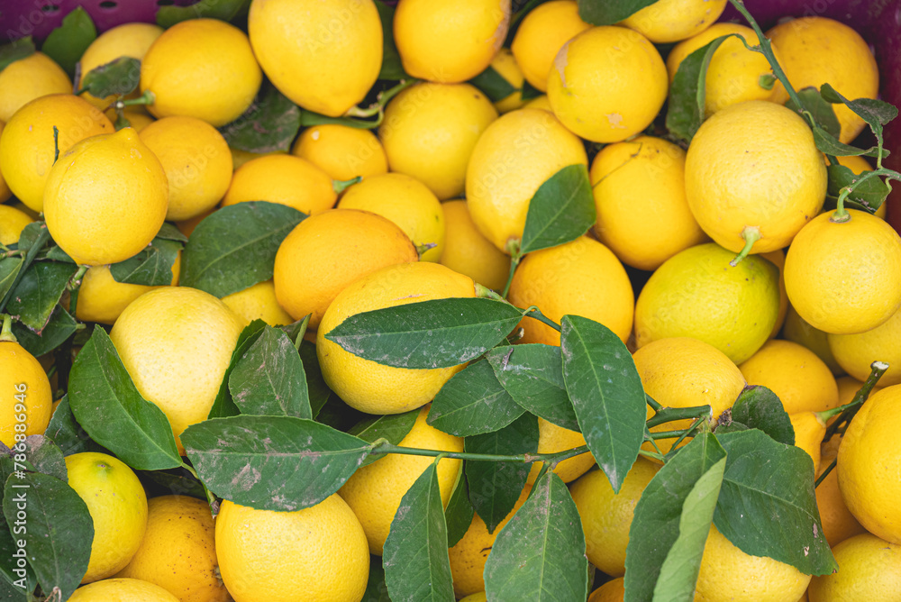 Organic lemons at farmers market
