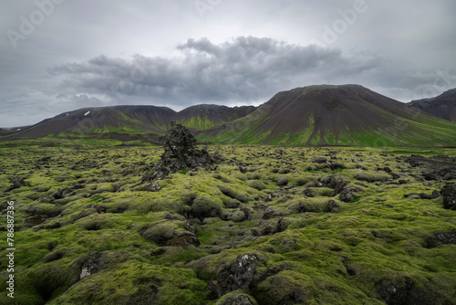 Moss-covered lava fields in Iceland