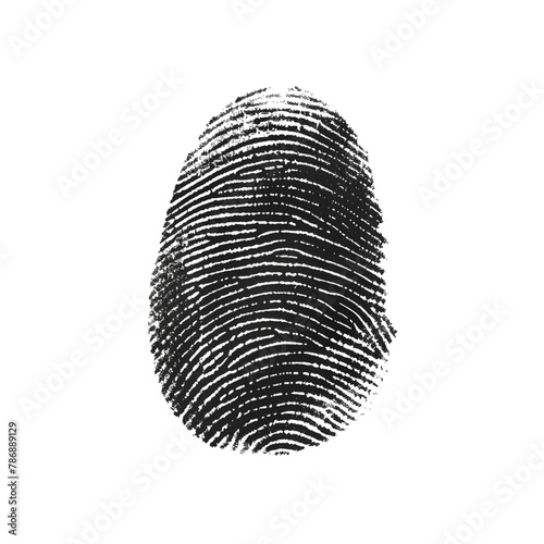clear illustration of human fingerprint isolated on transparent background