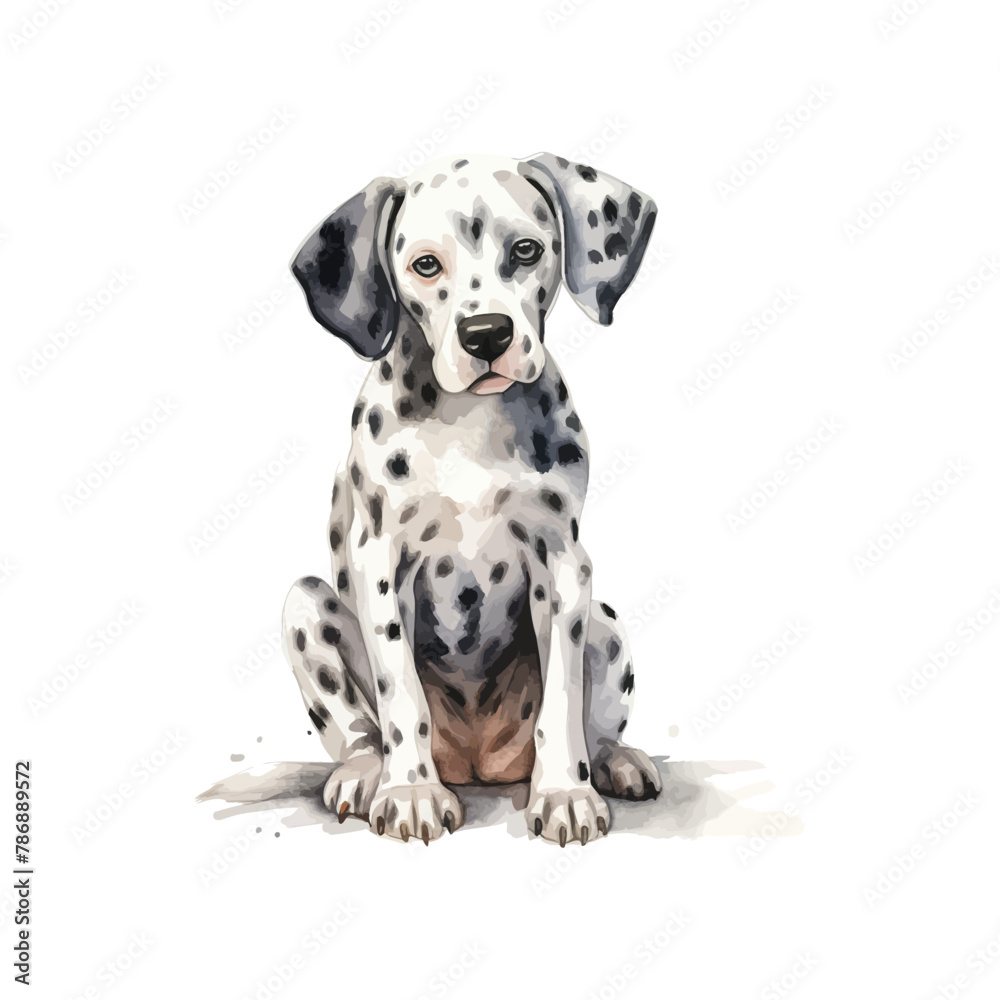 Watercolor Painting of a Cute Dalmatian Puppy. Vector illustration design.