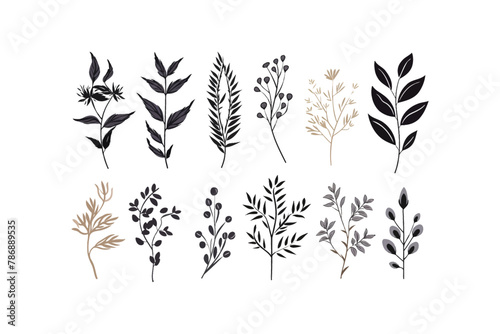 Leaves elements Hand drawn style. Vector illustration design