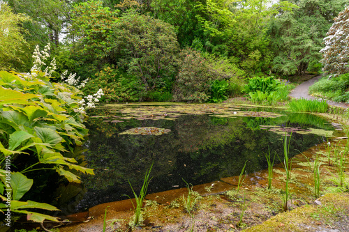 Plan d eau    Inverewe Garden en Ecosse au Printemps