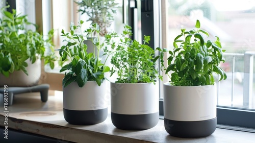 Generate ideas for growing herbs at home, showcasing the utilization of specially designed pots