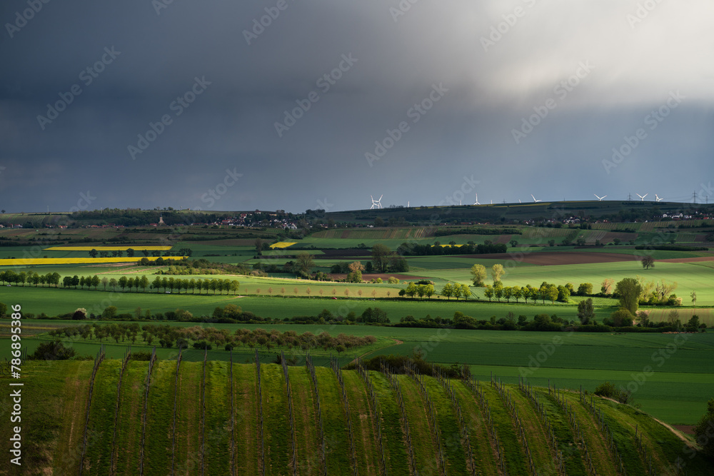 Blick vom Petersberg auf die Felder Rheinhessens