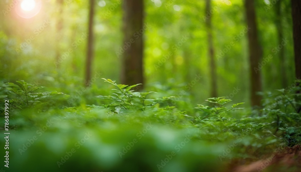 Green bokeh background from nature forest out of focus Green bokeh background from nature forest out of focus