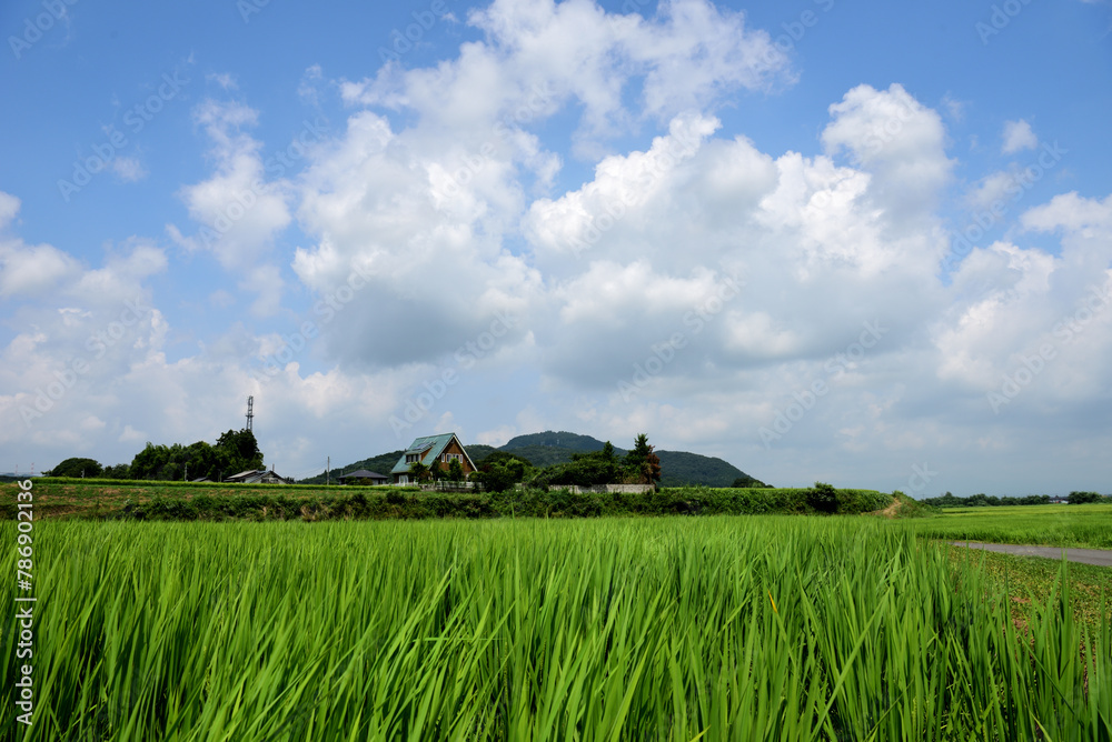 田んぼのある風景 田んぼのある風景