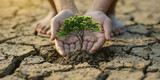 hand is holding a tree growing Saving the environment and Global warming and holding tree growing on cracked earth save the world environmental problems love nature heal the world Ecology Concept