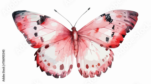 Butterfly watercolor pink soft white background stick