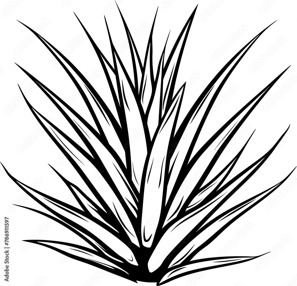 Aloe vera plant silhouette icon in black color. Vector template. Aloe vera plant silhouette icon in black color. Vector template.