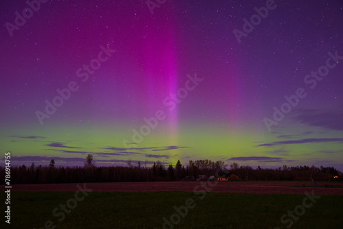 northern lights in the middle of a field on a spring night