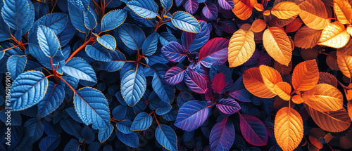 a close up of a bunch of leaves with a rainbow of colors photo