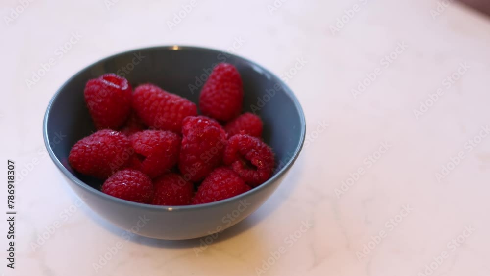 Juicy red ripe raspberries in a blue bowl. Picking up one of them, for a delicious snack. Summer diet. Berries and healthy eating. Fruit Vegan diet Juicy red ripe raspberries in a blue bowl. Picking up one of them, for a delicious snack. Summer diet. Berries and healthy eating. Fruit Vegan diet