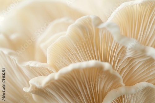 A closeup of the edge and texture of an oyster mushroom, showcasing its unique patterned edges in neutral tones. The soft cream background highlights details. Soft natural light, macro