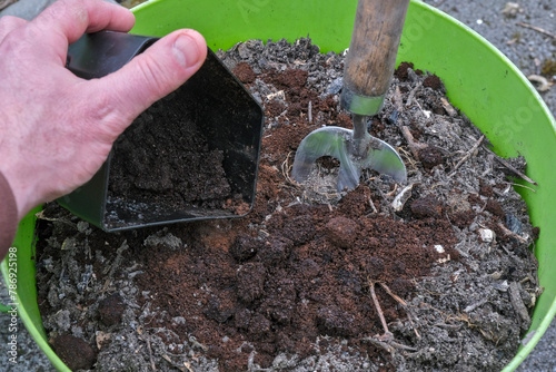 Coffee grounds poured into a flowerpot to prepare the soil for cultivation. photo