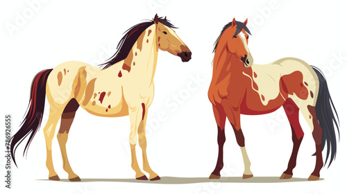 Colorful vector animation of stallion and mare Vector
