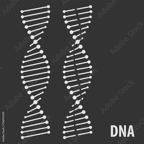 DNA Helix icon, human genetic symbol