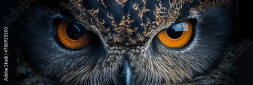 panorama the deep, dark eyes of an owl