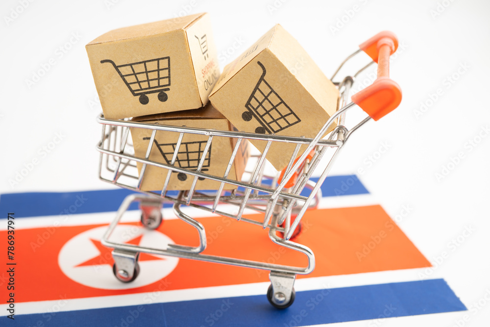 Box with shopping online cart logo and North Korea flag, Import Export Shopping online or commerce finance delivery service store product shipping, trade, supplier.