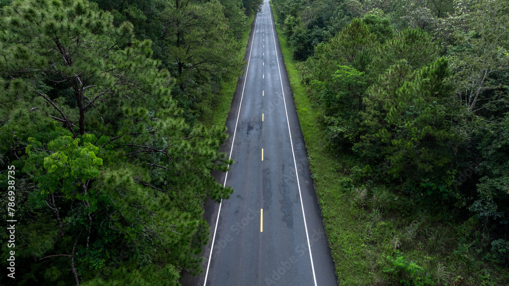Fototapeta premium Aerial view asphalt road and green forest, Forest road going through forest view from above, Ecosystem and ecology healthy environment concept and background, Road in the middle of the forest.